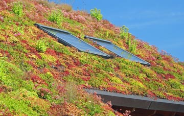 Macmerry living roof systems